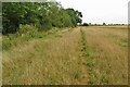 Bridleway to the Duns Tew road