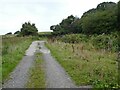 Track to Castlehill Wood