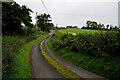 Bend along Bracken Road