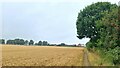 View towards Newhill, Wath upon Dearne