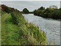 Severn Way along the Gloucester and Sharpness Canal