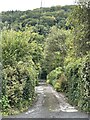 Access road leading to Lincoln Hill, Ironbridge Gorge