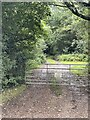 Gateway and footpath leading into Gibbons Coppice