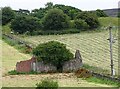 Ruined building at Stanhope