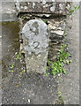 Old Milestone by Berrio Bridge House, North Hill