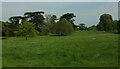 Kingston Lacy Park