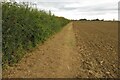 Footpath into Irchester