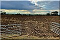 Farmland west of Wollaston Road