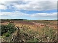 Dorket Head Clay Quarry