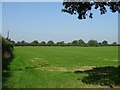 Grazing off Chester Road