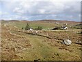 Path, Oldshoremore