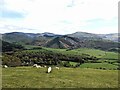 Looking towards Craig yr Aderyn