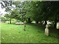 All Saints, Netheravon: churchyard (C)