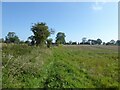 Field path off Earby Road