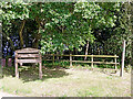 Woodland by Castle Ring car park near Cannock Wood