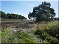 Stubble field and Billesley Brake