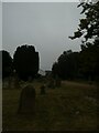 An early morning visit to Fakenham Cemetery (5)