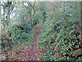 Llwybr ceffyl Treglarbes / Clarbeston bridleway