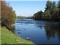 Downstream along the Spey