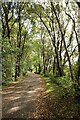 NS5068 : Footpath and cycle path by Richard Sutcliffe