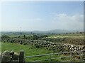 Improved grassland between the Fork Valley and the Ballyveaghmore Road