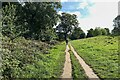 Path, Priory Park, Warwick