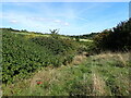 Horsted Valley near Rochester