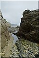 Rock pools north of Gyllyngvase Beach