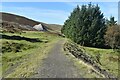 NS8613 : Former narrow gauge railway track bed towards Glencrieff Mine by David Martin