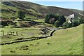 Valley floor below Church Street, Wanlockhead