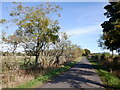 Minor road near Hartburn