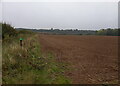 Field edge and hedgerow near Twybrook Cottage