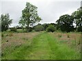 Field  footpath  toward  Sweffling  Lodge