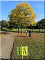 Autumn colour at Millhouses parkrun