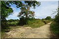 Bridleway to Rawdon Road