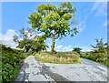 Road junction east of Coed Cochion