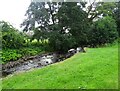 Stanhope Burn near the Hall