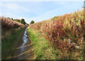 Railway Trackbed