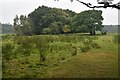 NZ1255 : Path across rough field south of Byerside Wood by David Martin