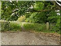 Start of a footpath to The Hollies