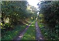 School Loke (footpath) heading south