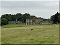 Duncombe Park