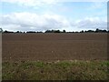 Field north of Kerdiston Road