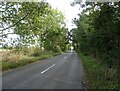 Aylsham Road near Lion Farm