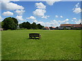 Village field, Shapwick