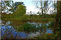 Pond near Draycott in Shropshire