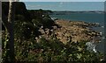 Shoalstone Point