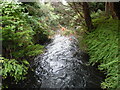 The River Gade from Blackmoor Lane