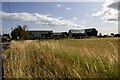 New houses at the Barns of Craig, by Montrose, Angus