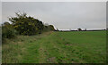 The track from Highfield Lane to Fakenham Road, Great Ryburgh